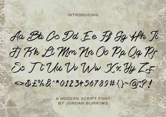 Antonia Script Font - Preview 4