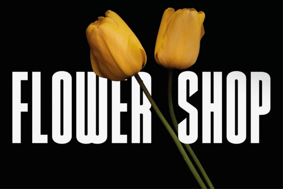 Bowser Font - Preview 3