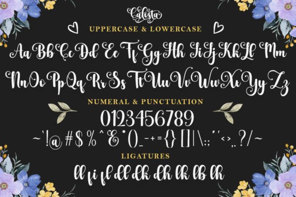 Calosta Font - Preview 6