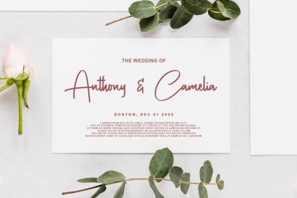 Contradiction Font - Preview 4