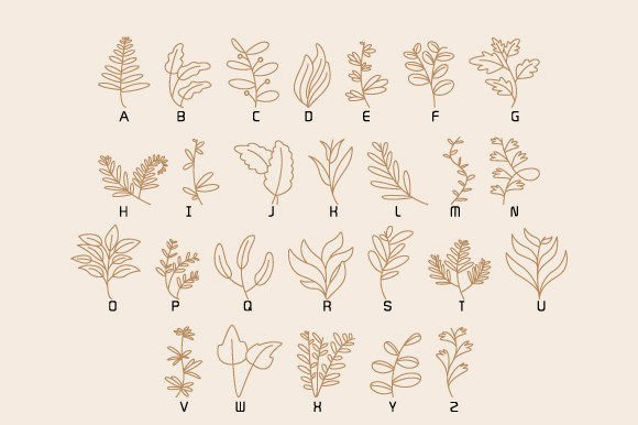 Decor Leaves Font PNG with transparent background - Preview 1