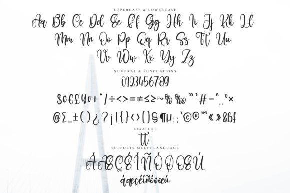 Cantique Font - Preview 6