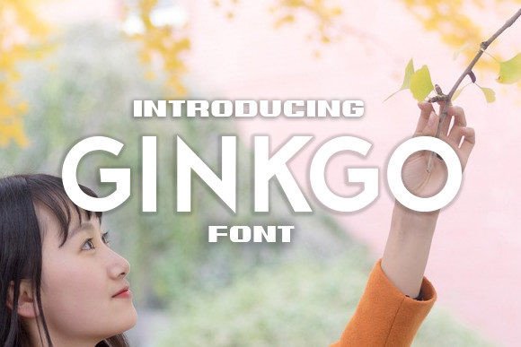 Ginkgo Fontes Sans Serif Fonte Por vladimirnikolic