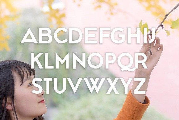 Ginkgo Font - Preview 1