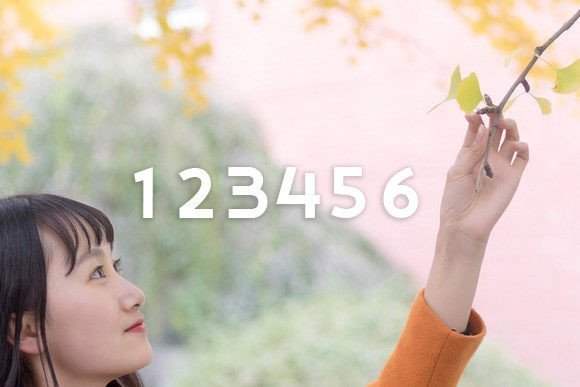 Ginkgo Font - Preview 2