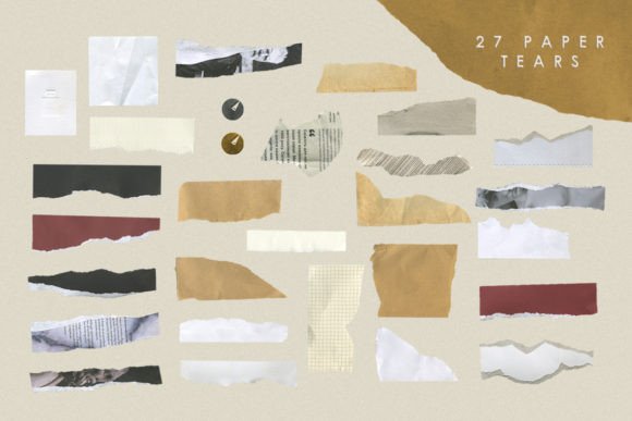 Torn Deckled Paper Edges