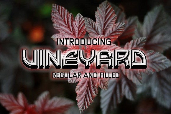 Vineyard Display Font By vladimirnikolic