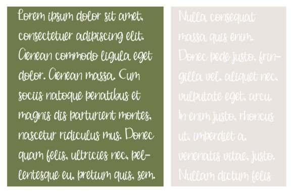 Buche De Noel Font - Preview 3