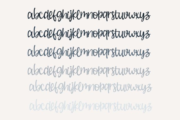Buche De Noel Font - Preview 4