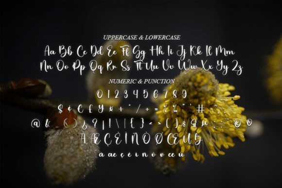 Homestay Font PNG with transparent background - Preview 6