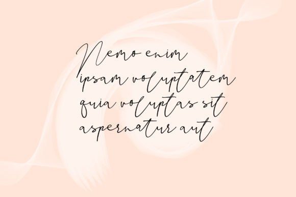 Baleza Font - Preview 4