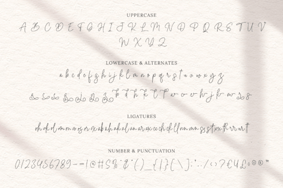 Bella Signature Font - Preview 5
