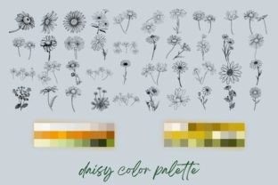 Procreate Daisy Flowers Stamp Brushes Graphic by Calcool · Creative Fabrica