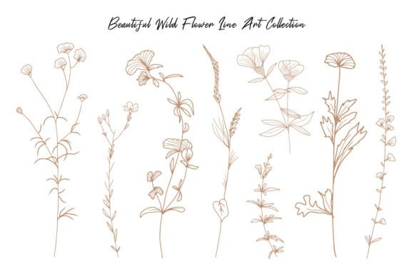 Aesthetic Wild Flower Line Art