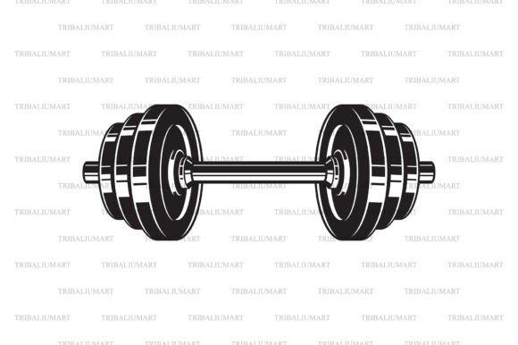 Barbell (weight or Dumbbell)