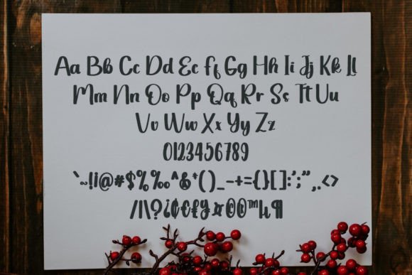 Credibly Font - Preview 4
