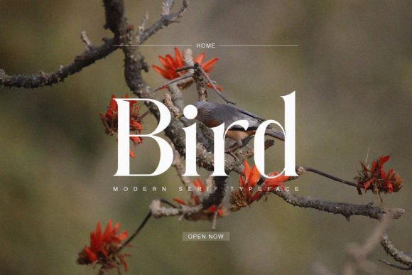 Forgue Font - Preview 5