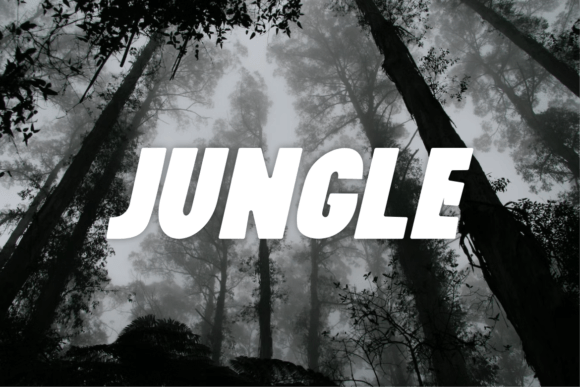 Rillavi Font PNG with transparent background - Preview 3
