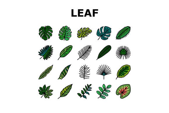 Palm Leaf Summer Plant Green Icons Set