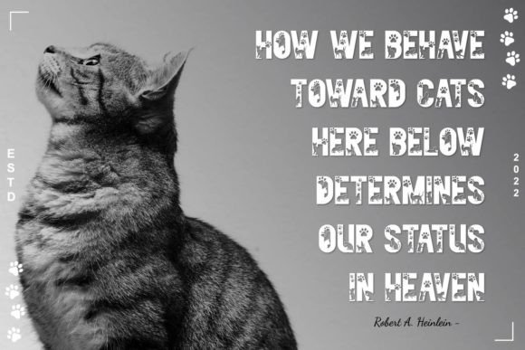 Mycat Font PNG with transparent background - Preview 4