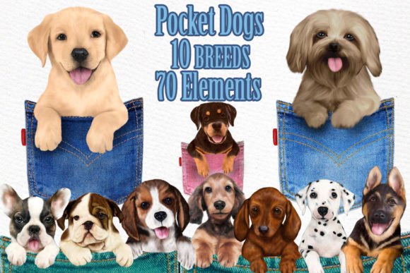 Pocket Dogs Clipart Dog Breeds Clipart Graphic Illustrations By LeCoqDesign
