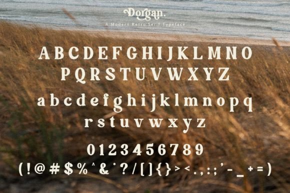 Dorgan Font - Preview 5