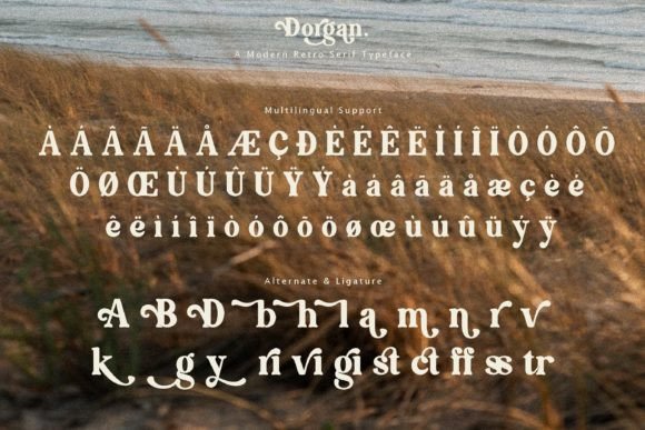 Dorgan Font - Preview 6
