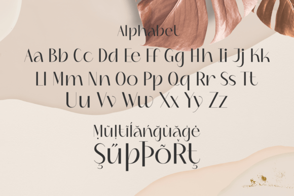 Lawraise Font PNG with transparent background - Preview 5