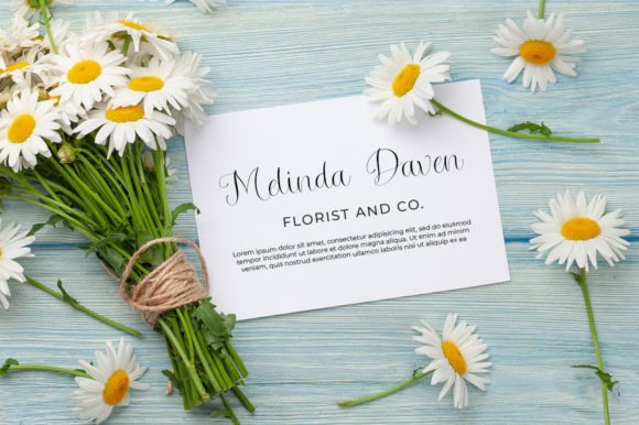 Navidena Font PNG with transparent background - Preview 3