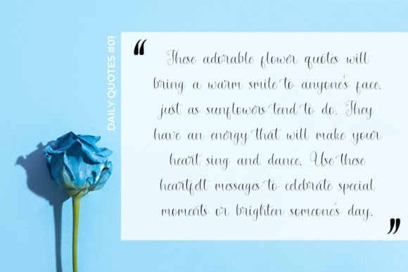 Navidena Font PNG with transparent background - Preview 6