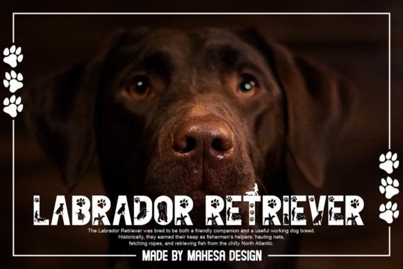 Friendly Dog Font PNG with transparent background - Preview 1
