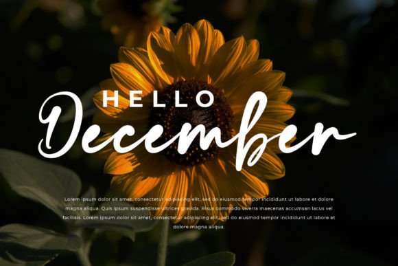 Belliones Font - Preview 3