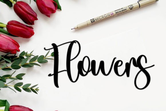 Dolles Font - Preview 1