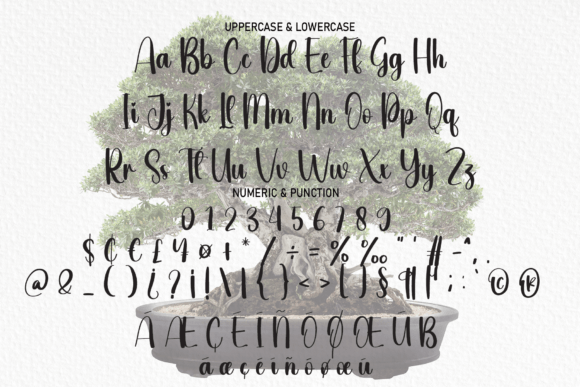 Bonsai Font - Preview 5