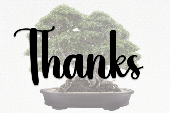 Bonsai Font - Preview 6