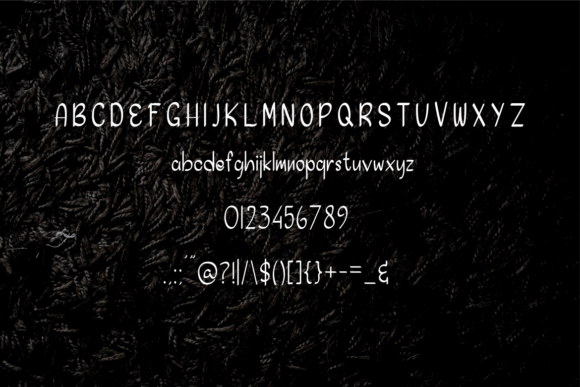 Calico Monda Font - Preview 5