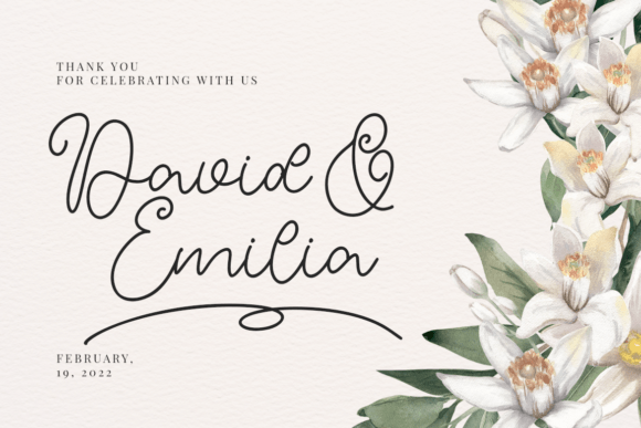 Carol Adelina Font - Preview 1
