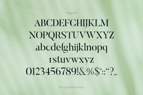 Elayne Font - Preview 2