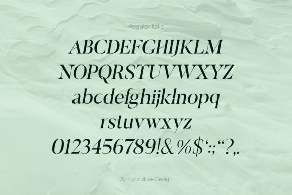 Elayne Font - Preview 4