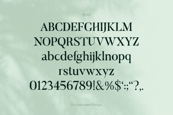 Elayne Font - Preview 6