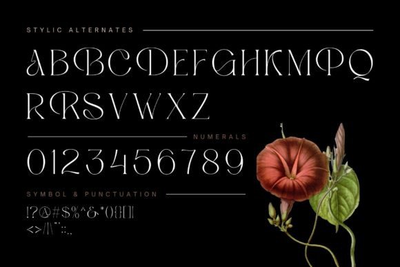 Beauty Luxury Font - Preview 4