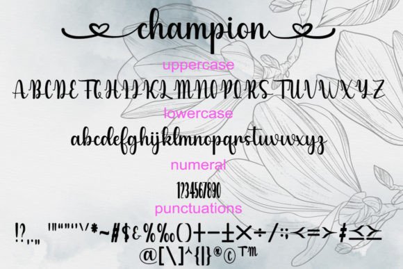 Champion Font - Preview 5