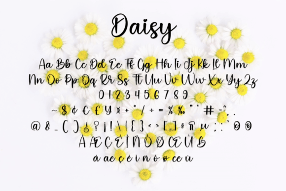 Daisy Font - Preview 4