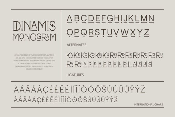 Dinamis Monogram Font - Preview 5