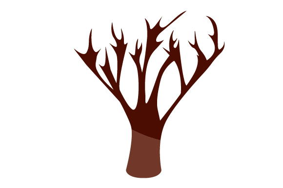 Bare Tree