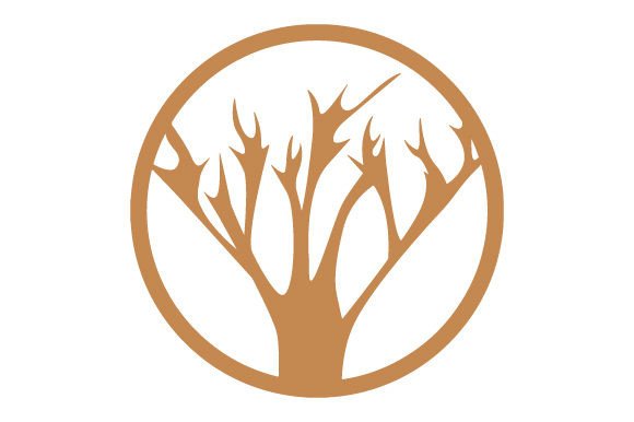 Bare Tree Icon