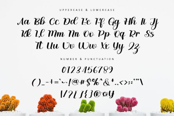 Bright Font - Preview 2