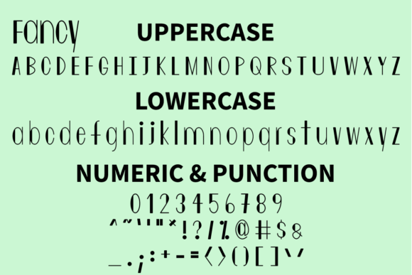 Fancy Font - Preview 4
