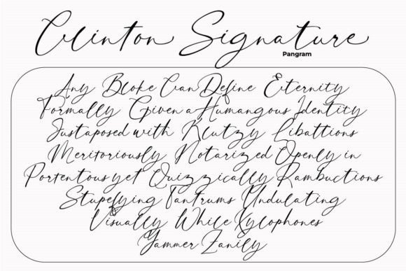 Clinton Signature Font - Preview 4