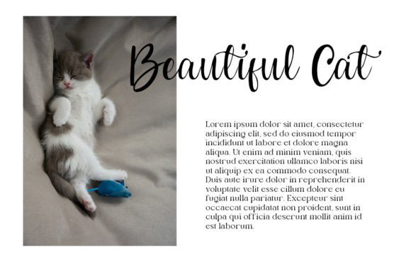 Cutie Font - Preview 1